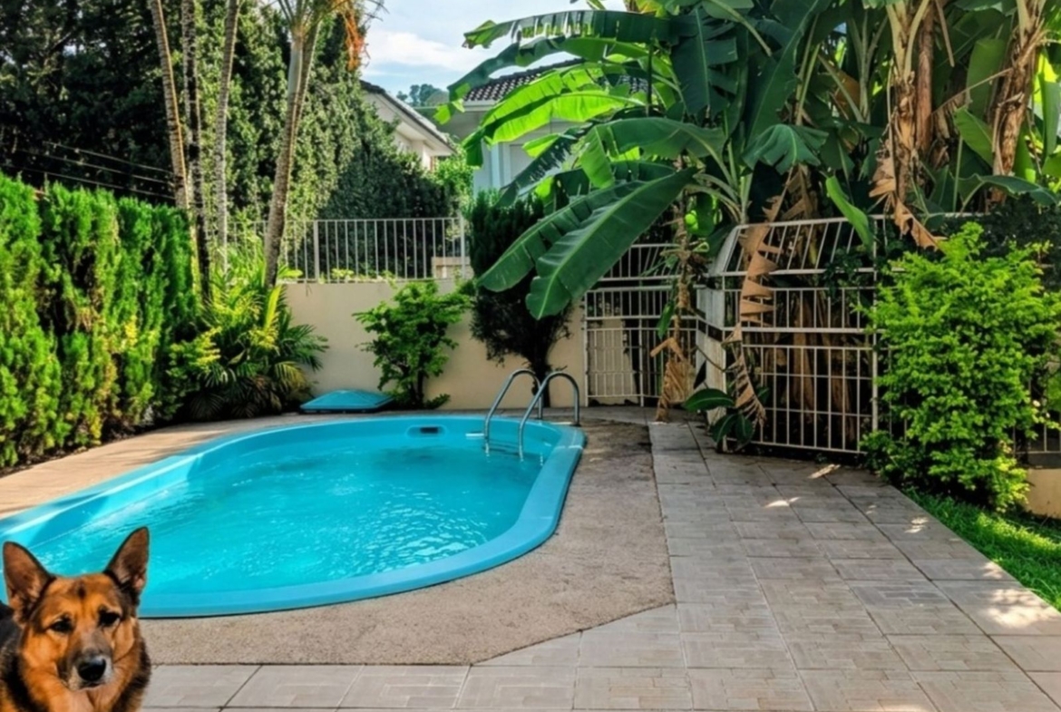 Piscina privativa com solarium em um refúgio cercado pelo verde, no coração do Parque São Jorge, Itacorubi.